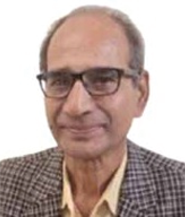 MD. SHAMSUL HAQUE